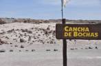 Chegando à famosa 'Cancha de Bochas' no Parque Provincial Ischigualasto, na Argentina
